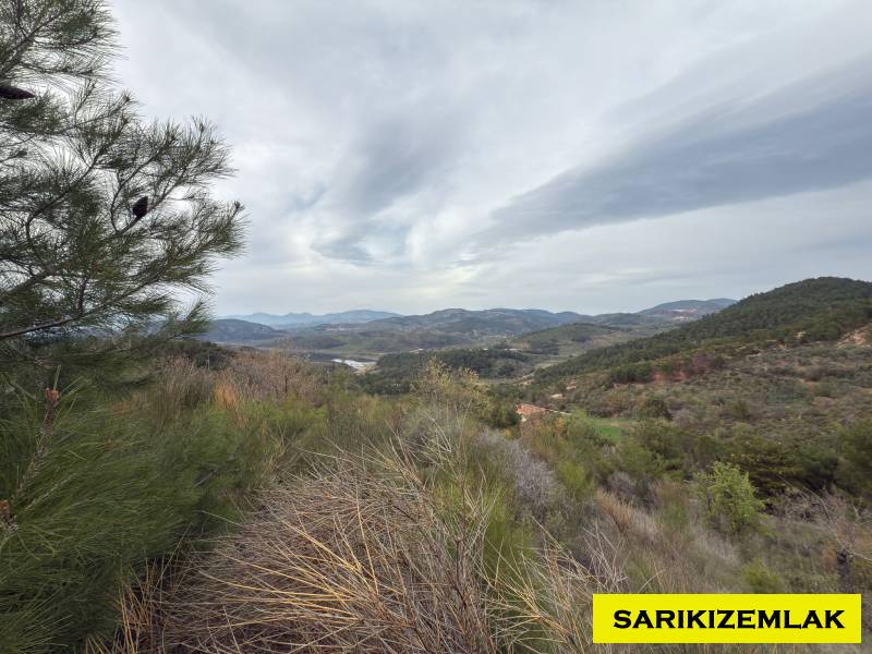 Havran Hallaçlar Mah`daZeytinlik. - 9